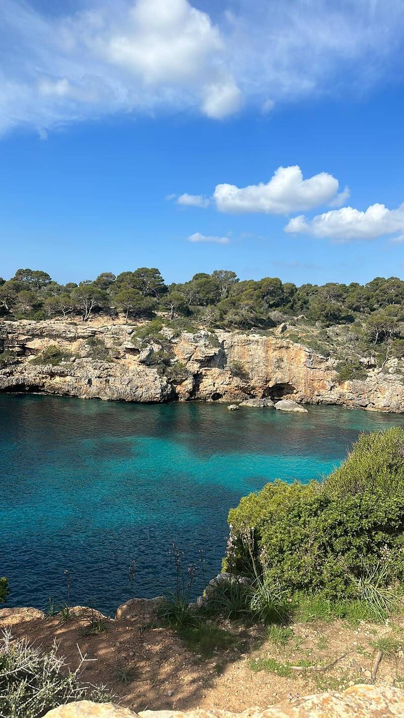 Mallorca kemp Starter I. - II. 10. - 24. 3. 2023