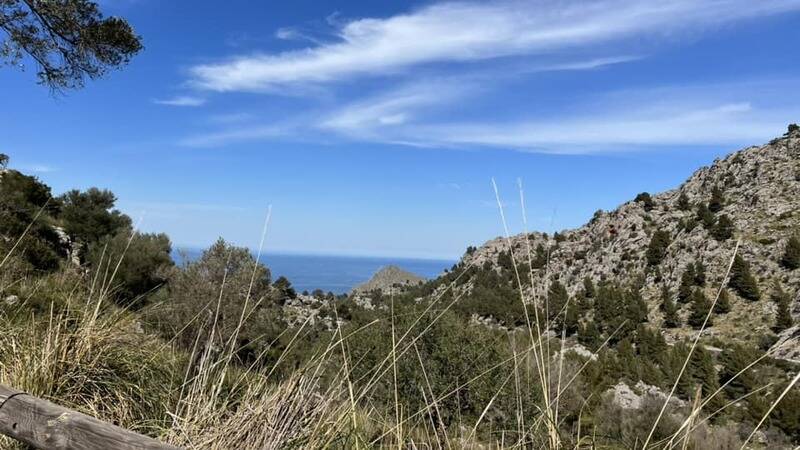 Mallorca kemp Starter I. - II. 10. - 24. 3. 2023