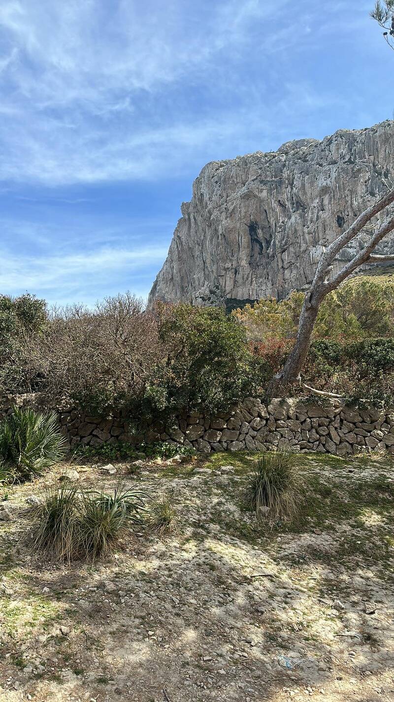 Mallorca kemp Classic I. 24.3. - 2. 4. 2023