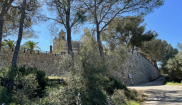 Mallorca kemp Classic I. 24.3. - 2. 4. 2023