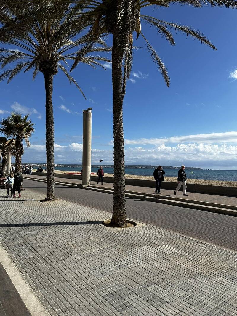 Mallorca kemp Classic II. 3.4. - 12. 4. 2023