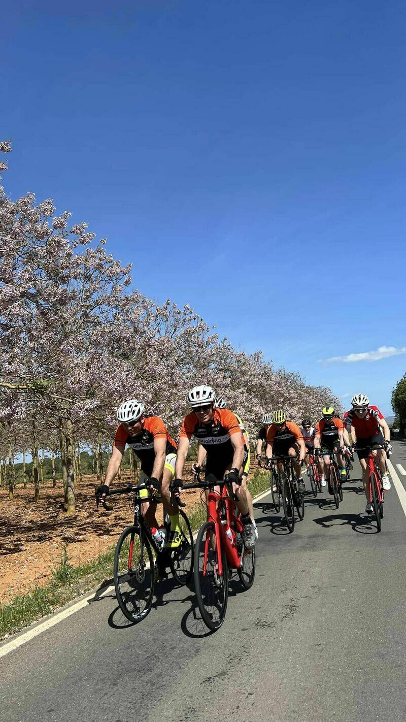 Mallorca kemp  Bike Holidays I. 14. - 21. 4. 2023