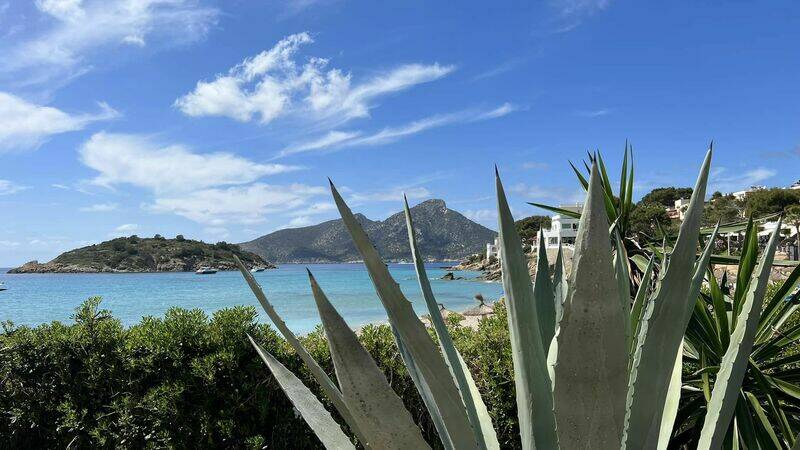 Mallorca kemp  Bike Holidays I. 14. - 21. 4. 2023