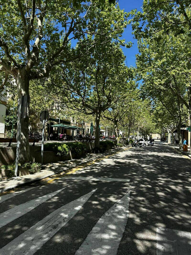 Mallorca kemp  Bike Holidays I. 14. - 21. 4. 2023