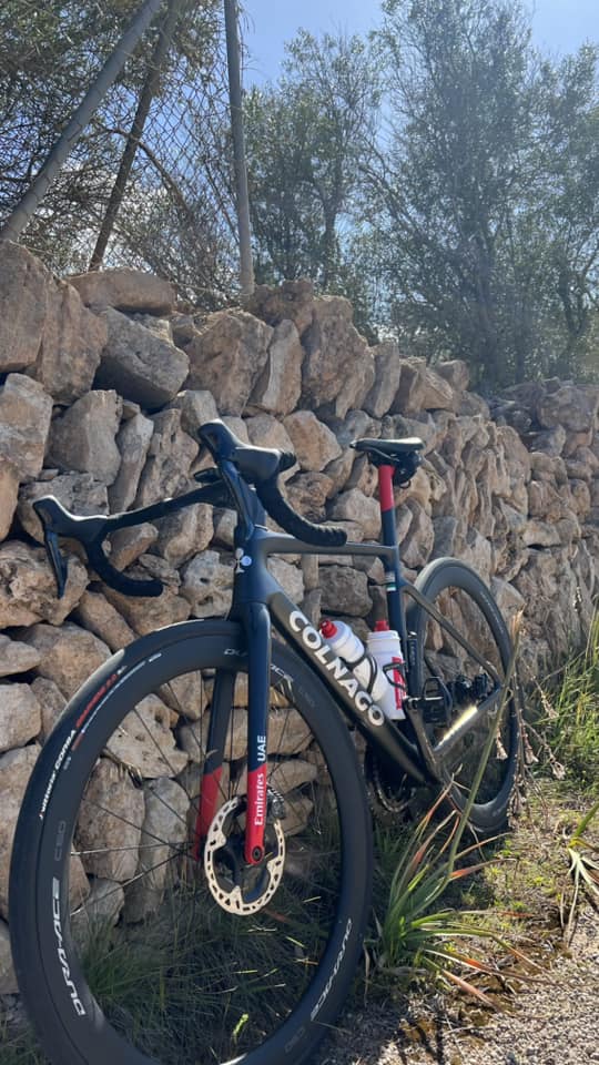 Mallorca kemp  Bike Holidays I. 14. - 21. 4. 2023