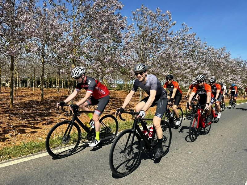 Mallorca kemp  Bike Holidays I. 14. - 21. 4. 2023
