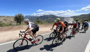 Mallorca kemp  Bike Holidays I. 14. - 21. 4. 2023