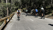 Mallorca kemp Bike Holidays II. 22. - 29. 4. 2023