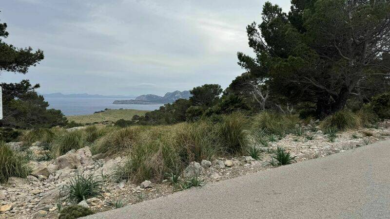 Mallorca kemp Classic I. 22.3.-31.3.2024