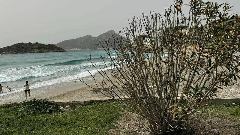 Mallorca kemp Classic I. 22.3.-31.3.2024
