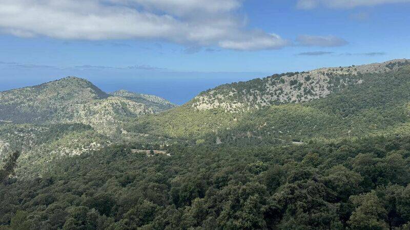 Mallorca kemp Classic II. 1.4.-10.4.2024