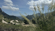 Mallorca kemp Bike Holidays II. 28.4.-5.5.2024