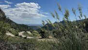 Mallorca kemp Bike Holidays III. 5.5.-10.5.2024