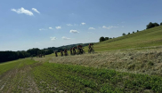MTB kemp NMNM (7.-9.6.2024)