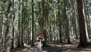 MTB kemp NMNM (7.-9.6.2024)