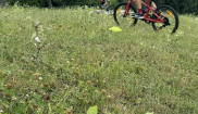 Příměstký cyklotábor 22. – 26.7. 2024