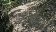 Příměstký cyklotábor 22. – 26.7. 2024