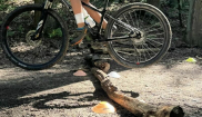 Příměstský cyklotábor 5. – 9.8.2024