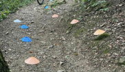 Příměstský cyklotábor 5. – 9.8.2024