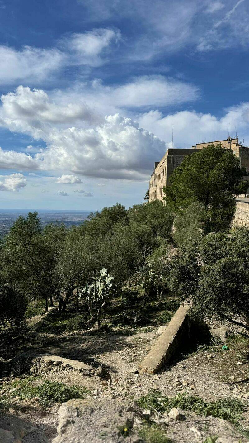 Mallorca - Sunny holidays II. - 17.10. - 27.10.2024