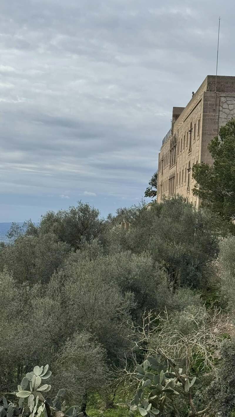 MALLORCA - STARTER - 10. - 23.3.2025