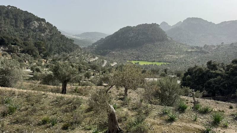 MALLORCA - STARTER - 10. - 23.3.2025