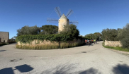 MALLORCA - STARTER - 10. - 23.3.2025