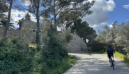 MALLORCA - STARTER - 10. - 23.3.2025