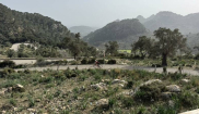 MALLORCA - STARTER - 10. - 23.3.2025