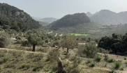 MALLORCA - STARTER - 10. - 23.3.2025