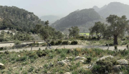 MALLORCA - STARTER - 10. - 23.3.2025