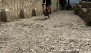 MALLORCA - STARTER - 10. - 23.3.2025