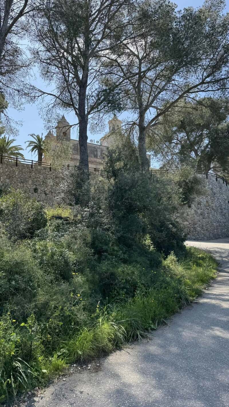 MALLORCA - CLASSIC - 28.3.-6.4.2025