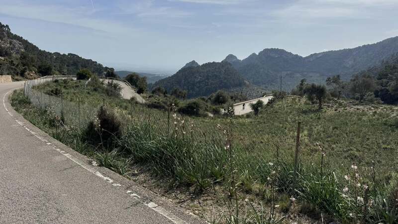 MALLORCA - CLASSIC - 28.3.-6.4.2025