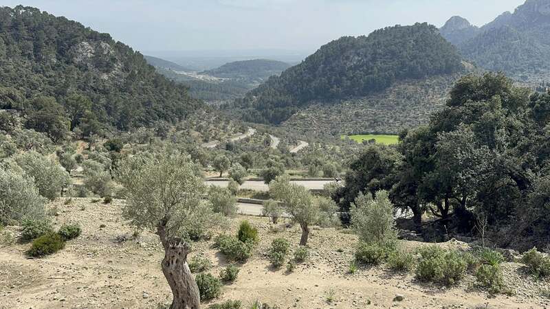 MALLORCA - CLASSIC - 28.3.-6.4.2025