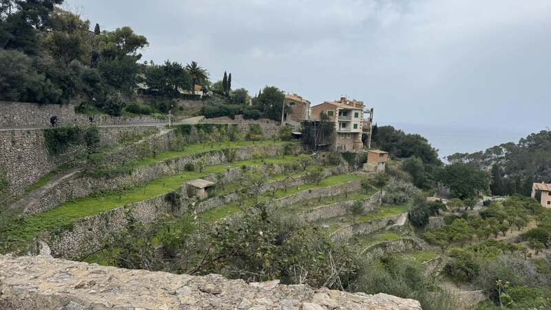 MALLORCA - CLASSIC - 28.3.-6.4.2025