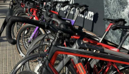 MALLORCA - CLASSIC - 28.3.-6.4.2025