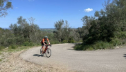 MALLORCA - CLASSIC - 28.3.-6.4.2025