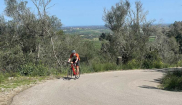 MALLORCA - CLASSIC - 28.3.-6.4.2025