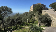MALLORCA - CLASSIC - 28.3.-6.4.2025