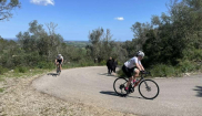 MALLORCA - CLASSIC - 28.3.-6.4.2025