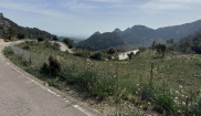 MALLORCA - CLASSIC - 28.3.-6.4.2025