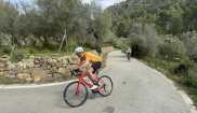 MALLORCA - CLASSIC - 28.3.-6.4.2025