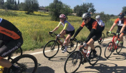 MALLORCA - CLASSIC - 28.3.-6.4.2025