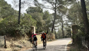 MALLORCA - CLASSIC - 28.3.-6.4.2025