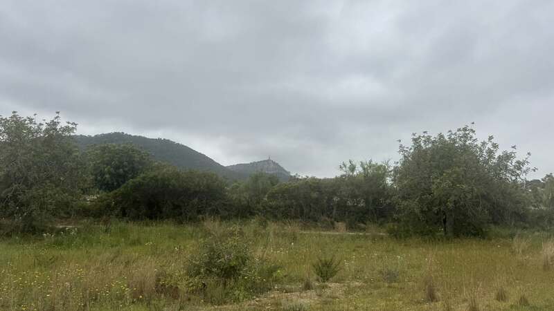 MALLORCA - Bike Holidays - 20-27.4.2025