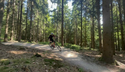 MTB KEMP NMNM - 30.5. - 1.6.2025
