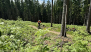 MTB KEMP NMNM - 30.5. - 1.6.2025