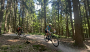 MTB KEMP NMNM - 30.5. - 1.6.2025