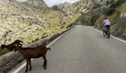 MALLORCA - Sunny Holidays - 8. - 12.10.2025